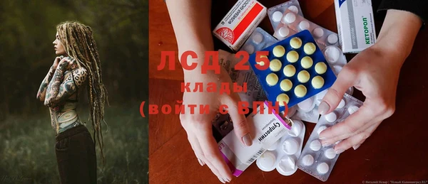 прущие грибы Алексин