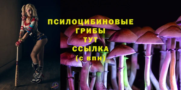 прущие грибы Алексин