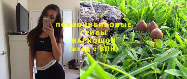 прущие грибы Алексин