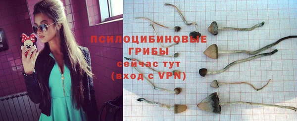 винт Армянск