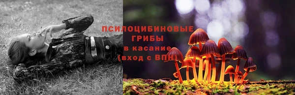 прущие грибы Алексин